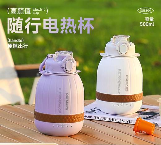 【电热水杯】便携式烧水杯 烧水壶旅行用户外小型电煮杯 304不锈钢内胆 商品图0