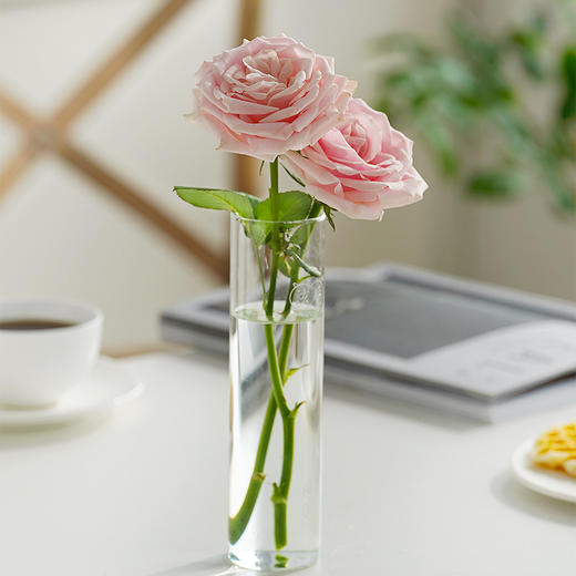 烘干玫瑰花冠茶 整朵重瓣红玫瑰 商品图5