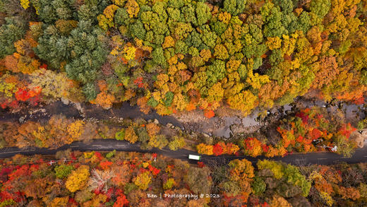 东北红叶盛宴丨四方顶子、本溪（老边沟&大石湖）、“中华枫叶大道”、科尔沁五角枫7天摄影团 商品图6