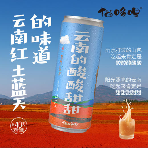 猫哆哩云南的酸酸甜甜含气酸角果汁330ml 商品图0