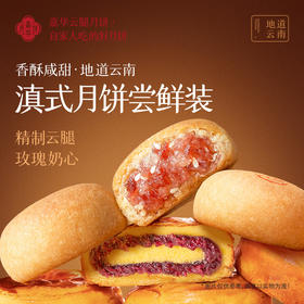 嘉华月饼 滇式月饼尝鲜装2枚  160g