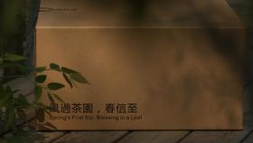 冰岛五寨茶（组合装）