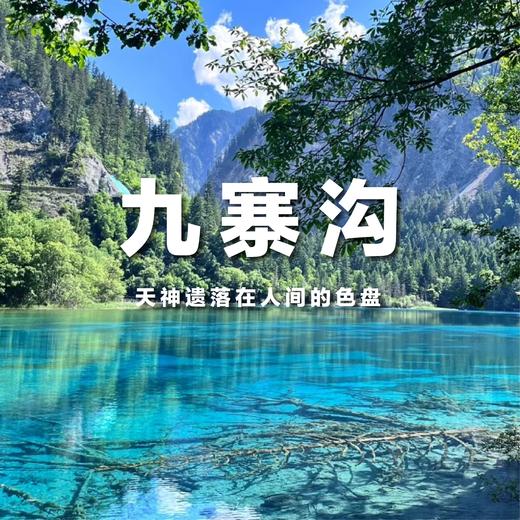 【拼包车出行 | 自由安排   | 定制经典6日直通车】都江堰青城山、乐山峨眉、九寨沟黄龙、纯玩无购物；一次包揽6处5A景点 商品图0