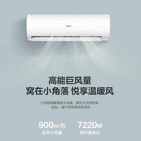 海尔【大挂机】二匹空调2P变频一级冷暖 净省电 内外机自清洁 办公室制冷家用壁挂式客厅空调 补贴20% 2匹 一级能效 劲铂 48P1A1