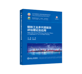 钢铁工业多尺度能效评估理论及应用