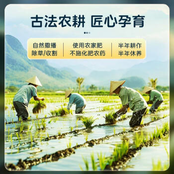 泰金香 上品茉莉香米 大米1.5Kg 小包装 长粒米 香米 大米3斤 /粮油调味 /米 /其他大米 商品图2