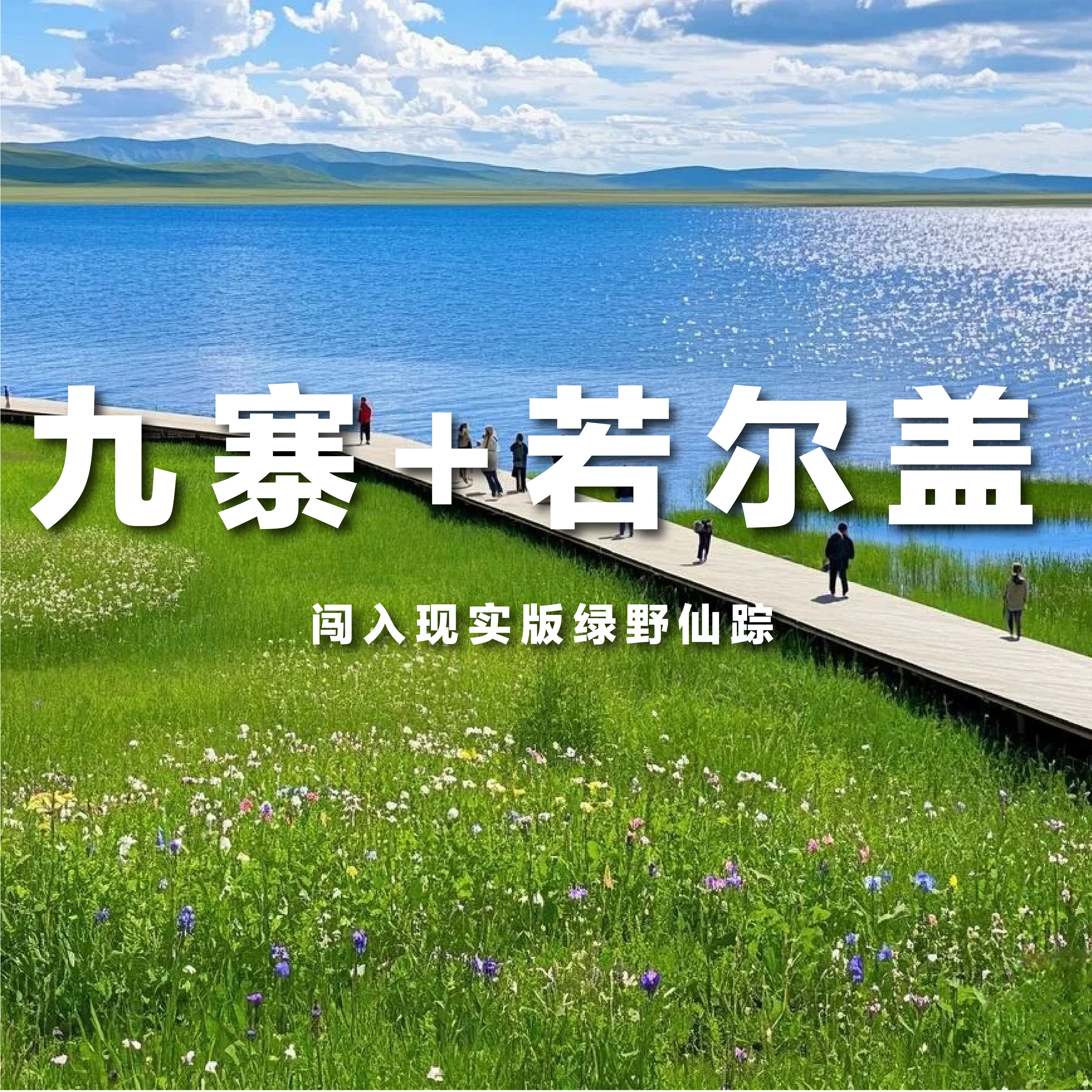 【发起活动| 2-8人小团 |九寨沟+若尔盖四日游】不可错过的仙境般美景，在侣途中不期而遇~