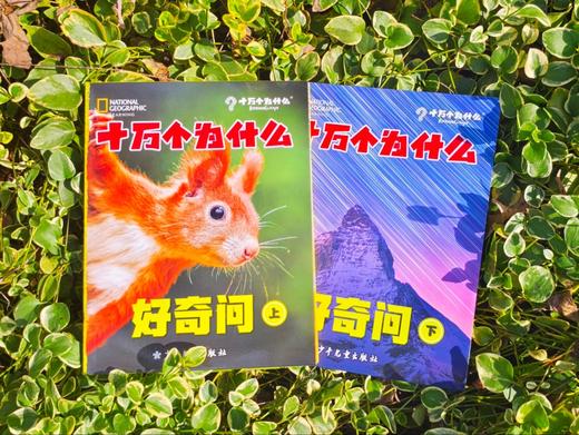 美国国家地理：十万个为什么好奇问上下册全6册全12册少年儿童出版社科普童书 商品图1