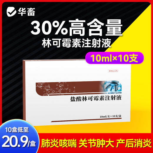 华畜 30%林可霉素注射液10ml*10支 肺炎咳喘 关节肿大 仔猪黄白痢 商品图1