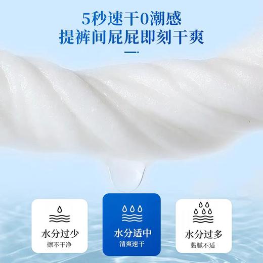 恩芝湿厕纸 150mm×200mm【宝库优选】 商品图6