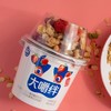 【BF】大嚼绊酸奶谷物组合-草莓 商品缩略图0