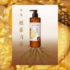 发之食谱生姜根茶防断洗发水头露膏控油蓬松滋养头皮干枯毛躁芳香 商品缩略图0