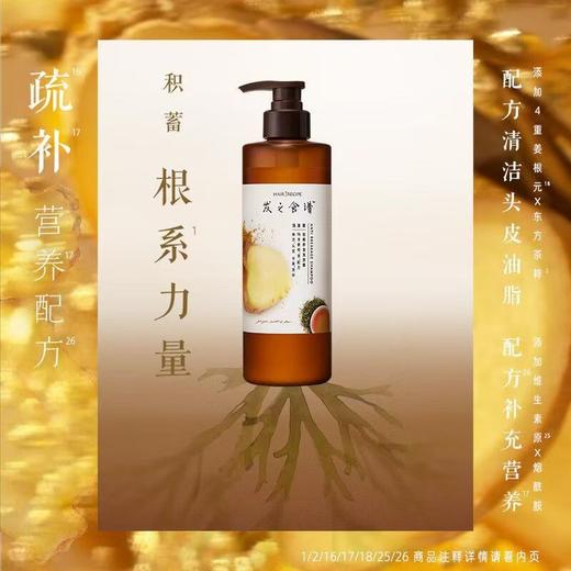 发之食谱生姜根茶防断洗发水头露膏控油蓬松滋养头皮干枯毛躁芳香 商品图0