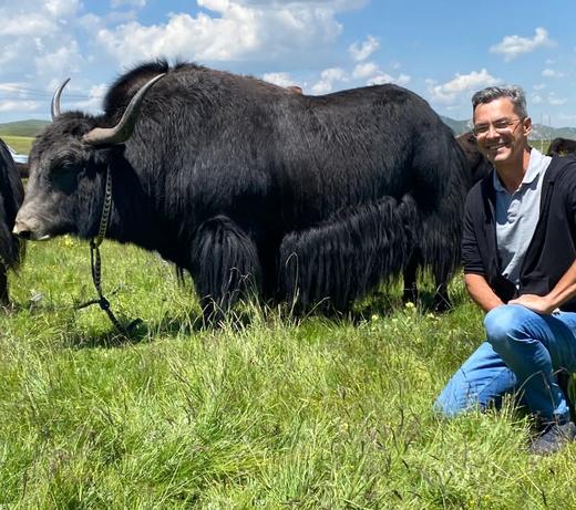 青藏高原牦牛酸奶 | 无添加剂无防腐剂 纯牦牛奶  意大利工艺 | 基地直发每月27日制作后开始发货Pure Yak Milk  Yogurt 商品图4
