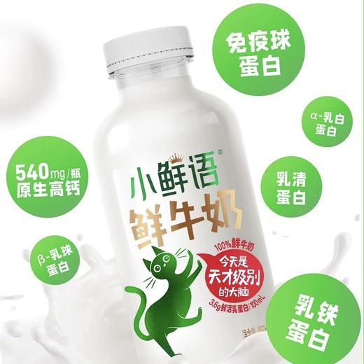 【BF】小鲜语鲜牛奶450ml*1瓶 商品图1