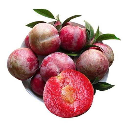 三华李(精品) 约1000g/份 商品图0