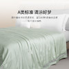 【ROYALCOVER】罗卡芙 西西里婴幼儿级A类可水洗100%桑蚕丝空调夏被 商品缩略图0