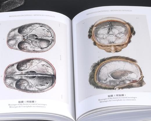 《人体解剖图谱》（完全版），精装，铜版彩印，小32开，[法]J.M布尔热里、[法]N.H雅各布著，北京美术摄影出版社2018年一版一印，827页，定价198，售价70元。 商品图14