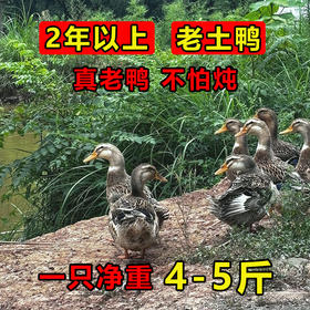 【2年以上】老土鸭 粮食喂养 冷链运输 新鲜现宰