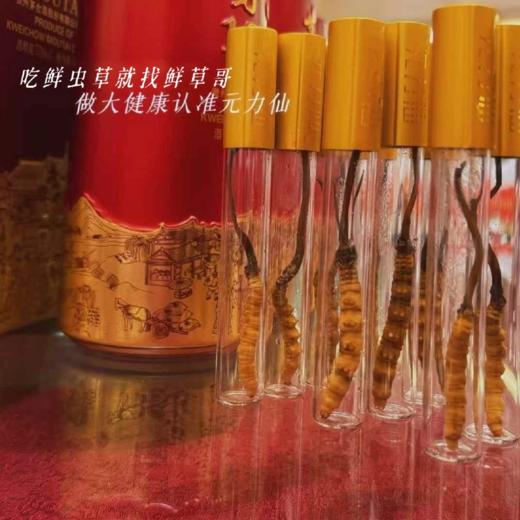 【P】北京同仁堂 元力仙品鉴装 0.6-0.8/根 ，30管起订 商品图3