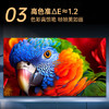 康佳电视 75E9G PRO-S 75英寸【安装版】288Hz高刷 MEMC护眼 3+64G【固定挂架送装一体】一级能效 /家用电器 /大 家 电 /平板电视 商品缩略图0