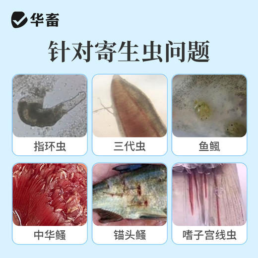 30%敌百虫溶液（水产用）250ml华畜 商品图2