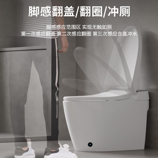 【门店款】帝王洁具M4P智能马桶家用智能数显虹吸抗菌座便器TA023 商品图1
