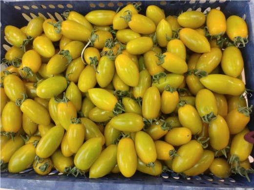 金千禧柿子2斤 商品图0