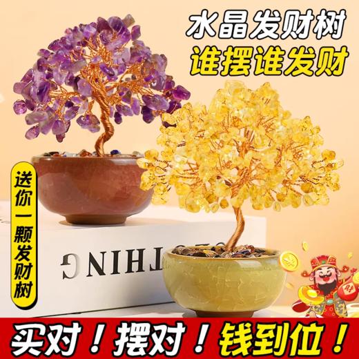 🔥市场最高版本！【聚宝盆水晶发财树】招财转运利器，富贵挡不住，财源滚滚来，水逆宝子必入❗让好运「树」之不尽！ 商品图8
