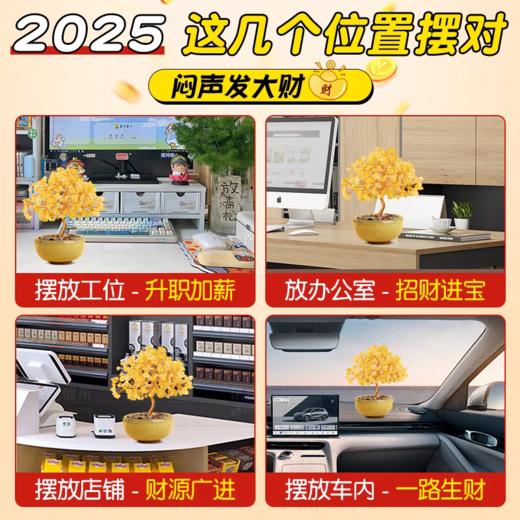 🔥市场最高版本！【聚宝盆水晶发财树】招财转运利器，富贵挡不住，财源滚滚来，水逆宝子必入❗让好运「树」之不尽！ 商品图6