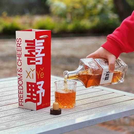 【喜野自然梅子酒】配料干净 入口醇香不涩  口感酸酸甜甜 商品图0