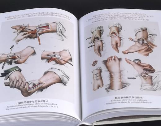 《人体解剖图谱》（完全版），精装，铜版彩印，小32开，[法]J.M布尔热里、[法]N.H雅各布著，北京美术摄影出版社2018年一版一印，827页，定价198，售价70元。 商品图10