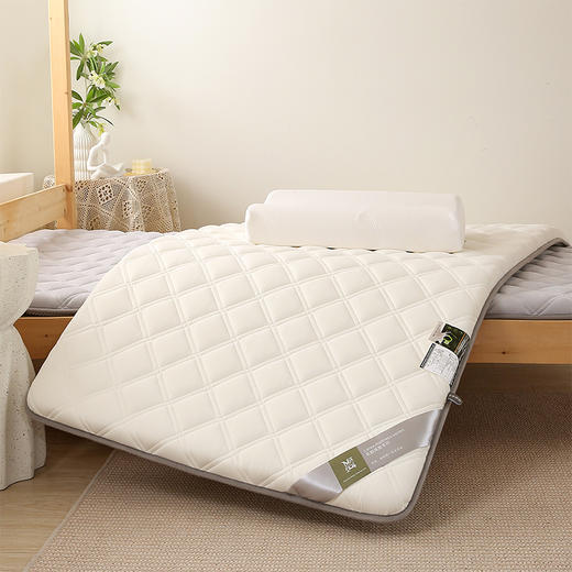 自然醒艾棉乳胶记忆棉三明治学生床垫家用卧室榻榻米垫学生宿舍租房单人睡垫LN 商品图3