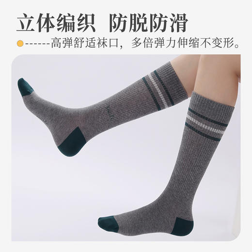 厚木Atsugi【春秋混色三双装】中筒袜子JK袜小腿袜棉袜高筒袜长袜半截女 WLC2204 商品图3