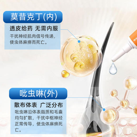 宠安仕吡虫啉莫西克丁滴剂 宠物体内外驱虫药跳蚤螨虫【全渠道销售】 商品图5