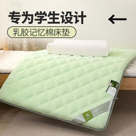 自然醒艾棉乳胶记忆棉三明治学生床垫家用卧室榻榻米垫学生宿舍租房单人睡垫LN