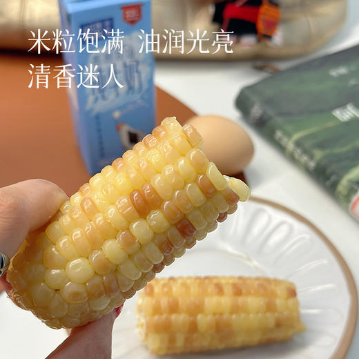 【花糯玉米/拇指玉米】糯叽叽 梗啾啾 蒸煮7-8分钟 或放入微波炉中加热2分30秒 减脂早餐 商品图3