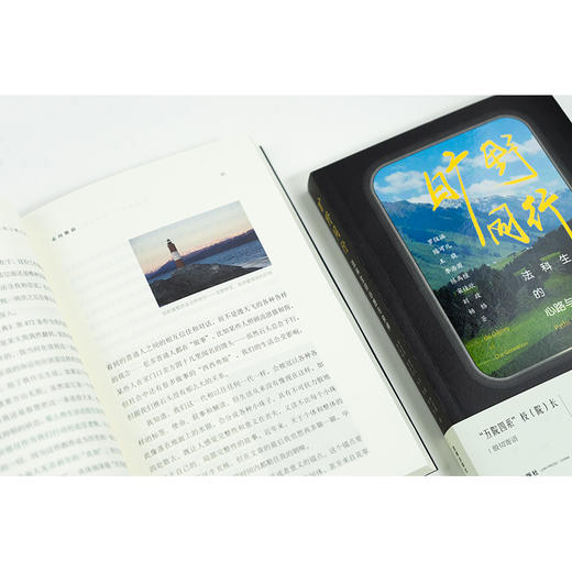 [罗翔作序推荐] 旷野同行：法科生的心路与抉择 令人心动的offer 罗仪涵 陈可儿 王骁 李浩源 陈禹橦 宋佳欣 刘政 杨格著 法律出版社 商品图13