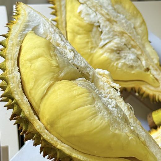 小马哥泰国金枕榴莲 树熟榴莲 35元一斤 商品图0