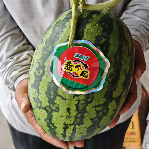 盘个瓜，甘美4K，精品瓜，脆甜，7-8斤 商品图2