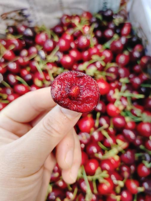 俄八大樱桃一斤 商品图3