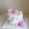 蝴蝶兰E 商品缩略图2