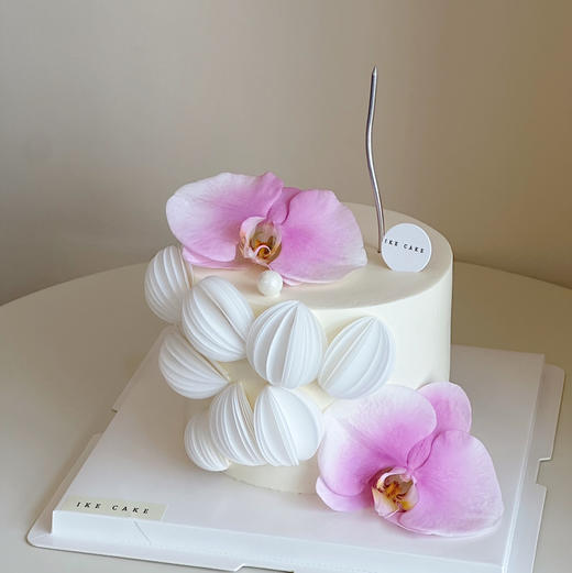 蝴蝶兰E 商品图2