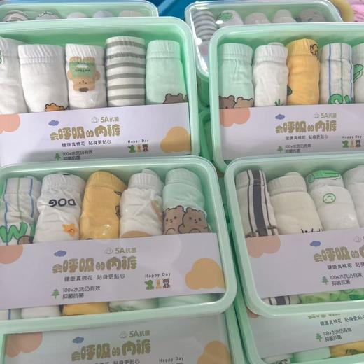 💥特价39.9【随机5条/盒】5条盒装莫代尔男童女童内裤息贴心呵护【合作品牌】 商品图5