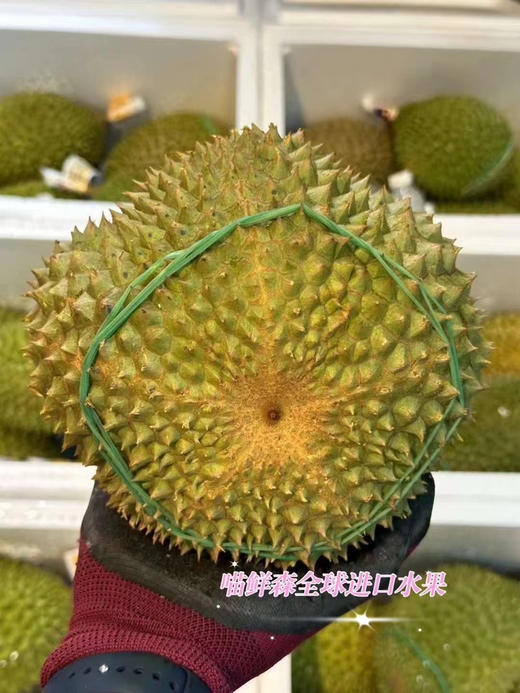 【次日达】鲜果马来西亚🇲🇾AA黑刺（包5房）✈️空运（顺丰包邮） 商品图2