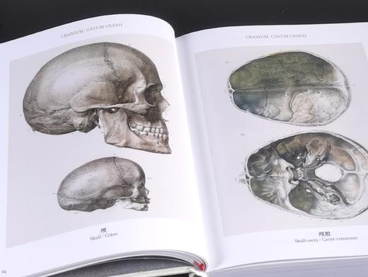 《人体解剖图谱》（完全版），精装，铜版彩印，小32开，[法]J.M布尔热里、[法]N.H雅各布著，北京美术摄影出版社2018年一版一印，827页，定价198，售价70元。 商品图12