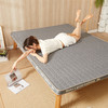 自然醒抗菌防螨针织棉25D高密度海绵填充立体床垫学生宿舍单人租房专用榻榻米垫LN 商品缩略图11