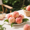 【快递】四川龙泉驿(京艳)水蜜桃约5斤 (单果＞200g  约8-12个) 礼盒装 商品缩略图7