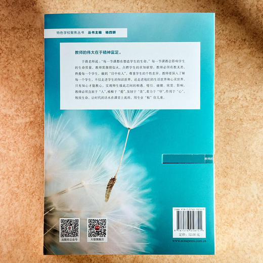 做精神富足的教师 特色学校聚焦丛书 教师育人能力提升路径 商品图2