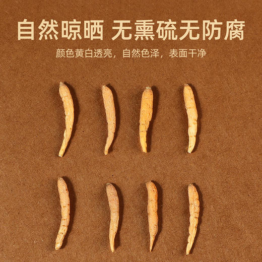 杞里香150g罐装太子参 当季新货 自然晾晒 商品图3